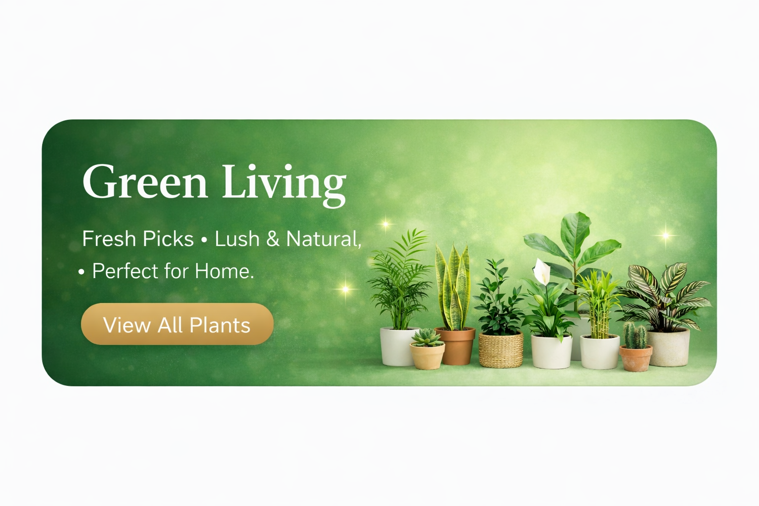 All Plants at SFlowers Galleria