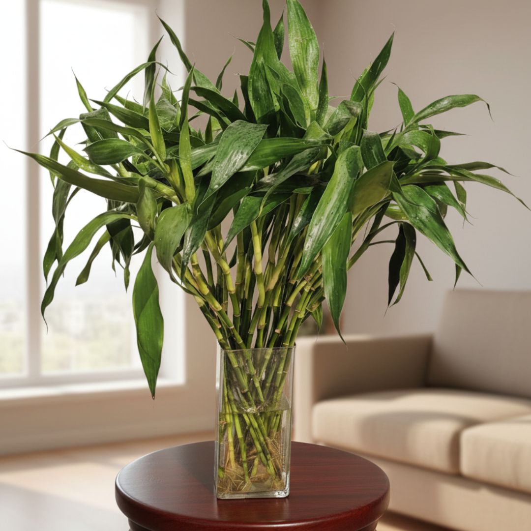 roses one side arranment