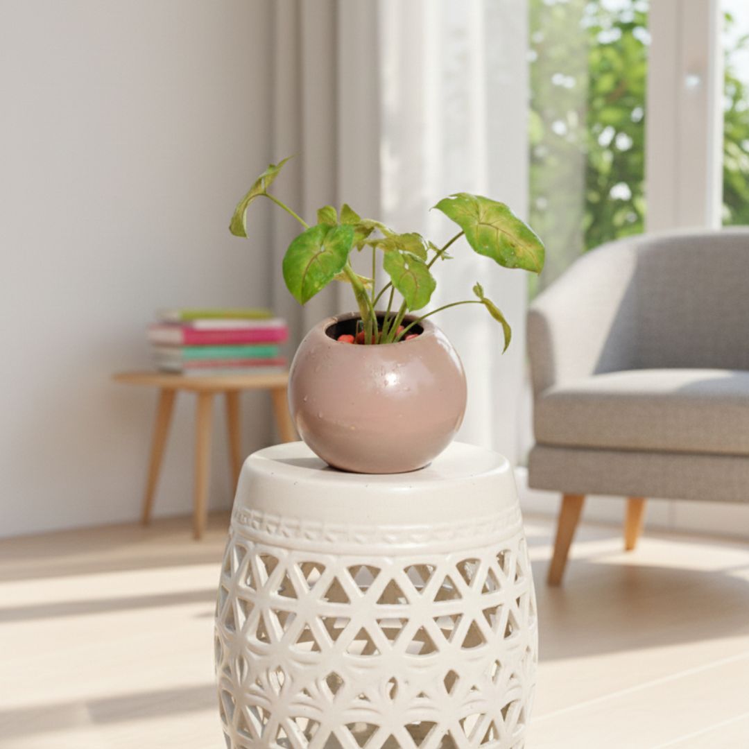 roses one side arranment