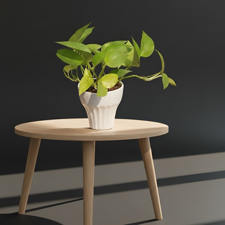 roses one side arranment